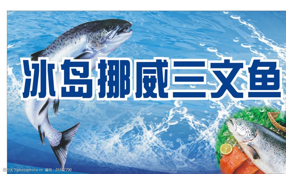 冰島挪威三文魚 優質水產品的典范