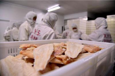 邊陲小城與水產新篇 吉林在東北亞的新興角色